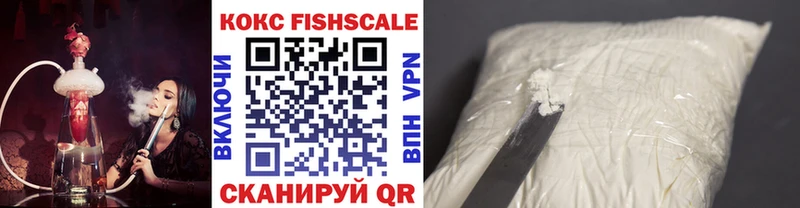 COCAIN Fish Scale  купить   даркнет какой сайт  Кисловодск 