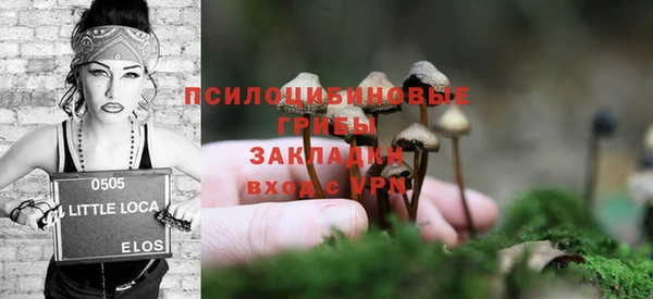 индика Абинск