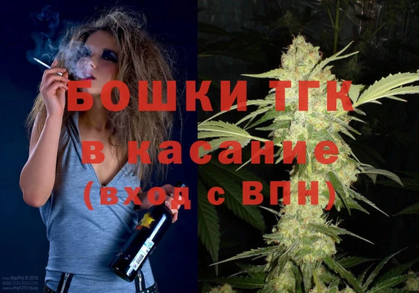 индика Абинск