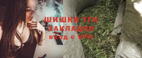 индика Абинск