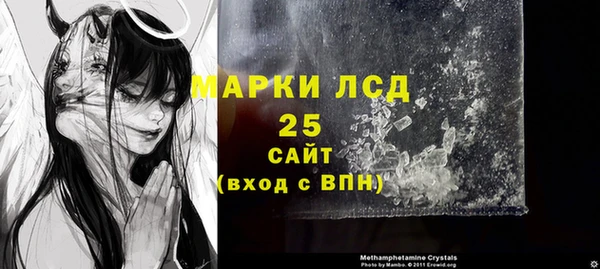 индика Абинск