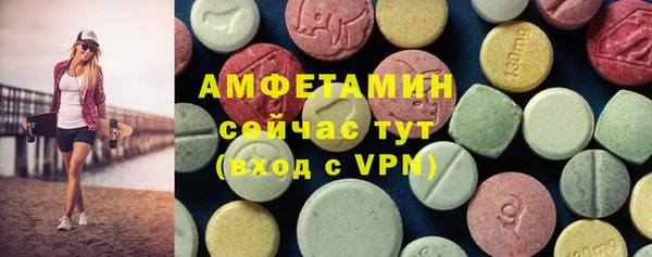 индика Абинск