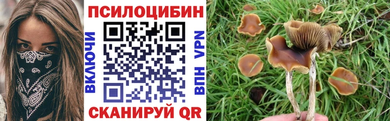 мега ссылка  Кисловодск  Псилоцибиновые грибы мухоморы  что такое  